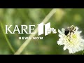 KARE 11 News Now | Morning Edition - Oct. 7