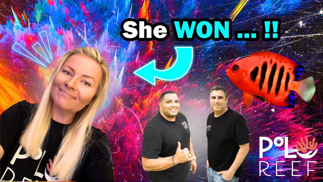And the winner is… - YouTube