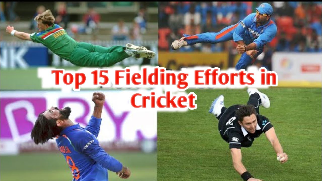 TOP 15 Fielding Efforts in cricket |Cricket Dnsportz 