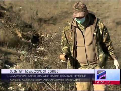 რუსთავი 2 - ვირის სასაკლაო