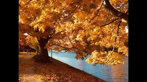 ماتيسر من القرآن الكريم بصوت _الشيخ ابراهيم الجبرين _سورة القيامة