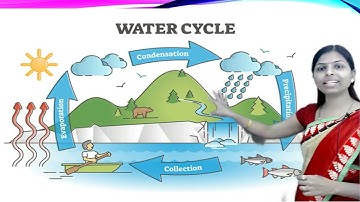 Class III | Science | Water Cycle | By Mrs. Deepali Mule