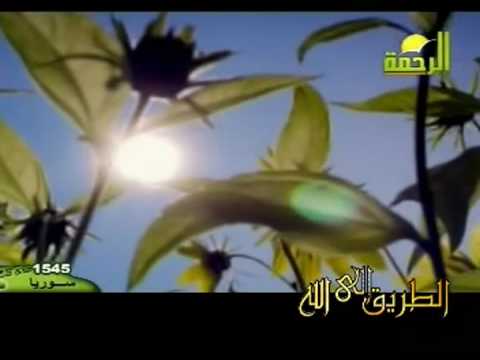 أحب الصالحين إنشاد الشيخ مقدام الحضري