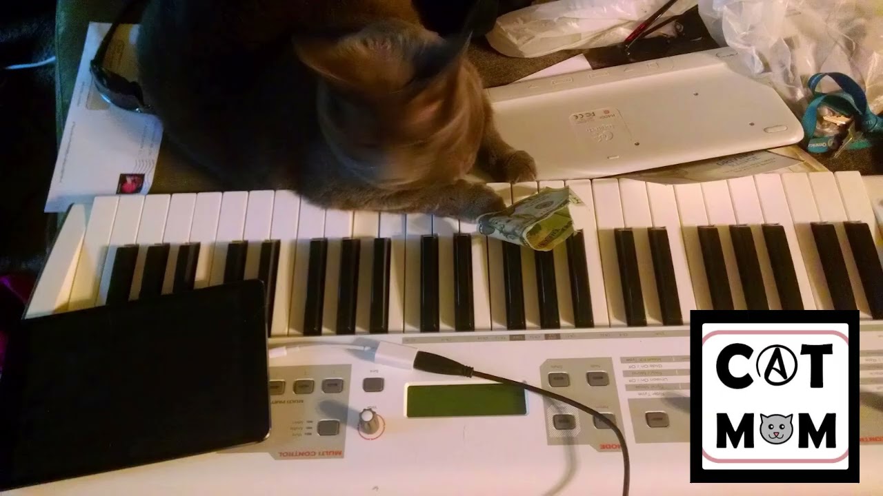 Country night (3 2 26 5)