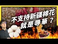 H&M 去年就拒用新疆棉花，中國戰狼為何現在才出征？《 左邊鄰居觀察日記 》 EP 040｜志祺七七