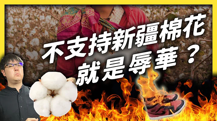 H&M 去年就拒用新疆棉花，中国战狼为何现在才出征？《 左边邻居观察日记 》 EP 040｜志祺七七 - 天天要闻
