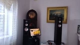 Elac Cl 142 Playing Abba.