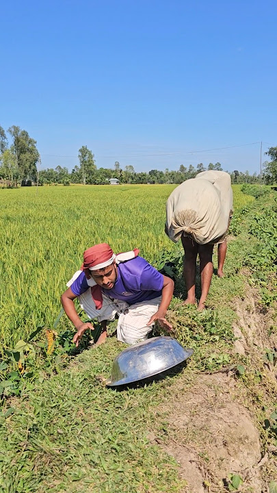 The boy was sitting.123