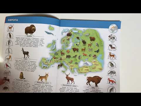 Моя первая энциклопедия с наклейками Животные