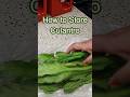 How to Store Culantro #food #tips #shorts #preservingfood