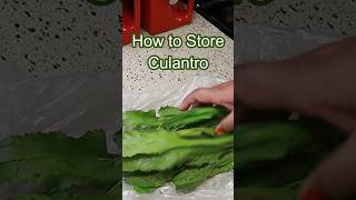 How to Store Culantro #food #tips #shorts #preservingfood