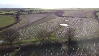 Evenlode Natural Flood Management Project.  Littlestock Brook. Drone. After tree planting.