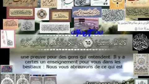 Coran Sourate 16 AL-NAHL(LES ABEILLES) Arabe sous-titré Français Arabe سورة ألنحل