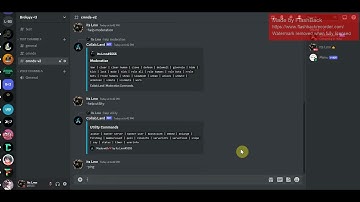 Bot verification video| Collab.Land