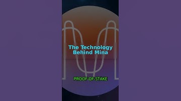 Mina protocol explained in 30 seconds #MINA