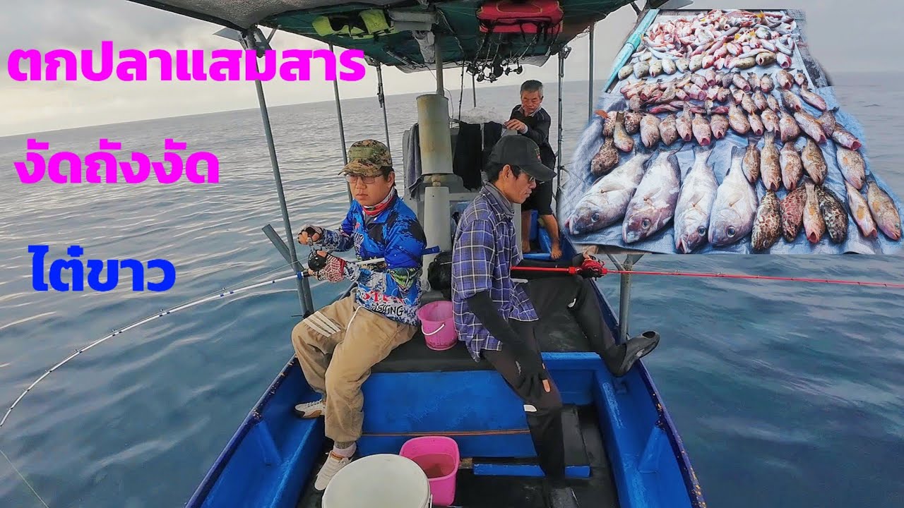 ตกปลาแสมสาร สัตหีบ