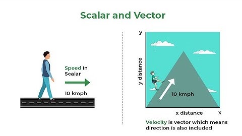 Scalars and Vectors and With Examples Real-Life