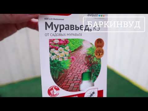 Муравьед, КЭ от садовых муравьёв Avgust [ОБЗОР]