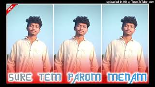 Sure Tem Parom Menam New Santhali Song Mixing Hazaribagh 2024