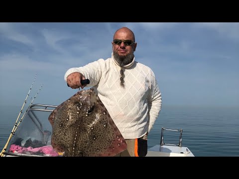 Рыбалка на ската морскую лису в Сочи с лодки
