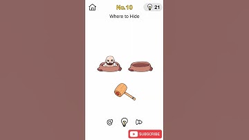 Brain Out Prank Plan Level 10 Walkthrough