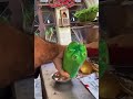 ام كلثوم يا صباح الخير لإفطار المصري الصميم