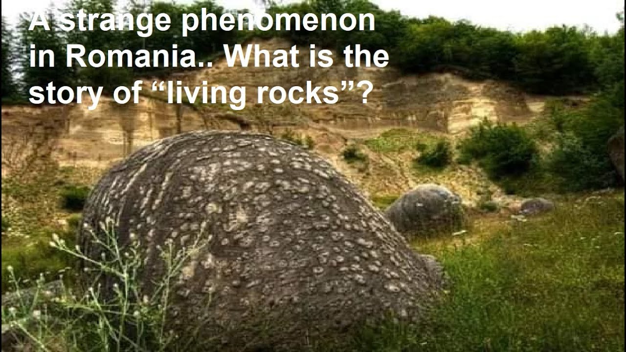 Romania Growing Rocks A strange phenomenon in Romania.. What is the story of “living rocks”?# ...