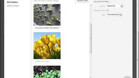 Wordpress Tutorial for Beginners 19  Jetpack Carousel