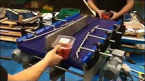 Fruit Handling Conveyors