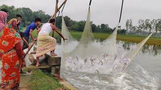 Most amazing fishing in rainy day | Catching huge fish from flood water
