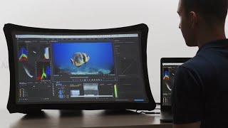 Amazing 2-in-1 Display & Ultra Short Throw Pico Projector | FHD | 24.5"  Screen | Splay
