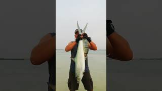 Big Milkfish In Abu dhabi UAE 🇵🇭🇦🇪❤️ Resimi