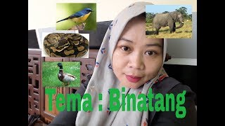 TEMA BINATANG 👉 Lagu PAUD 