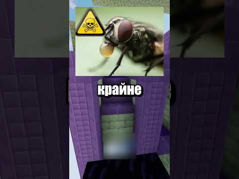 спидран по ютуб