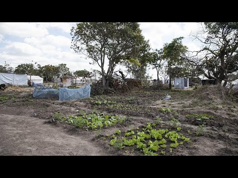 Mozambique : le cyclone Éloïse épargne la ville de Beira