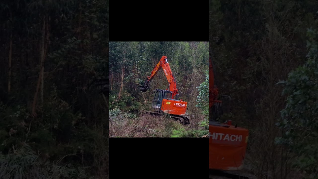 Entrega guilhotina ST320 com capacidade de corte até 30 cms de diâmetro de madeira.