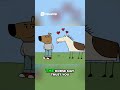 Cats & Horses How They REALLY See Us