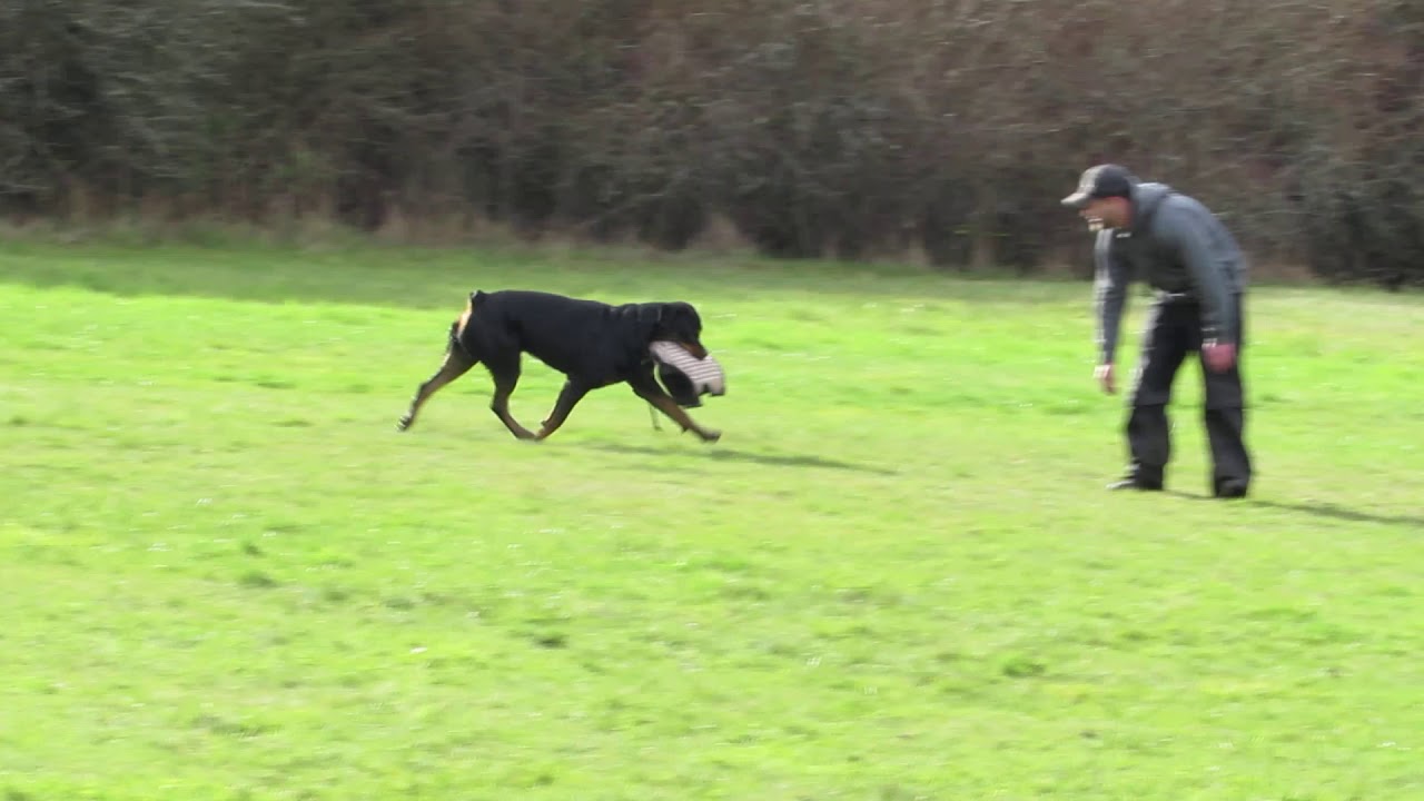 Quanto vd Rabensburg "Riot"