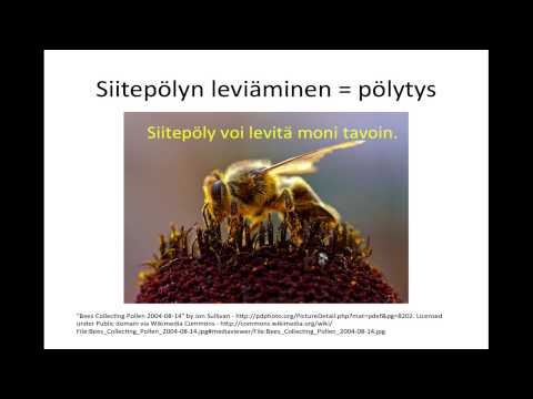 Video: Miksi kukka pystyy pölyttämään itseään?