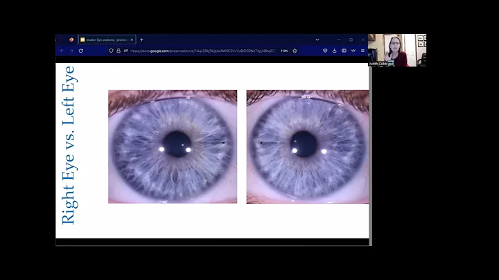 Eye Anatomy For Iridologists Nov 2022