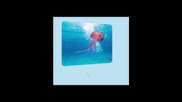 How to create 3D Flip Box? |#webdev #coding #htmlcss #html #code #css #webdesign