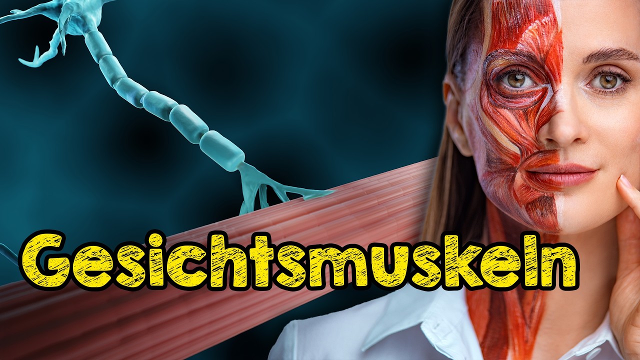 Darum sieht dein Gesicht älter aus: Muskelfunktionen, die deine Haut straffen und Symmetrie schaffen