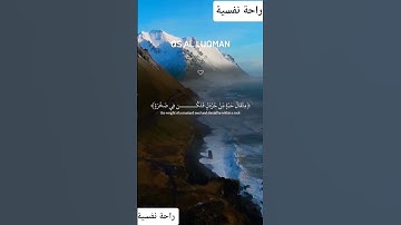 سورة لقمان #اكسبلور #قرآن #المصحف #لايك #حالات_واتس #تيك_توك #bhfyp #راحة_نفسية #explore #fyp