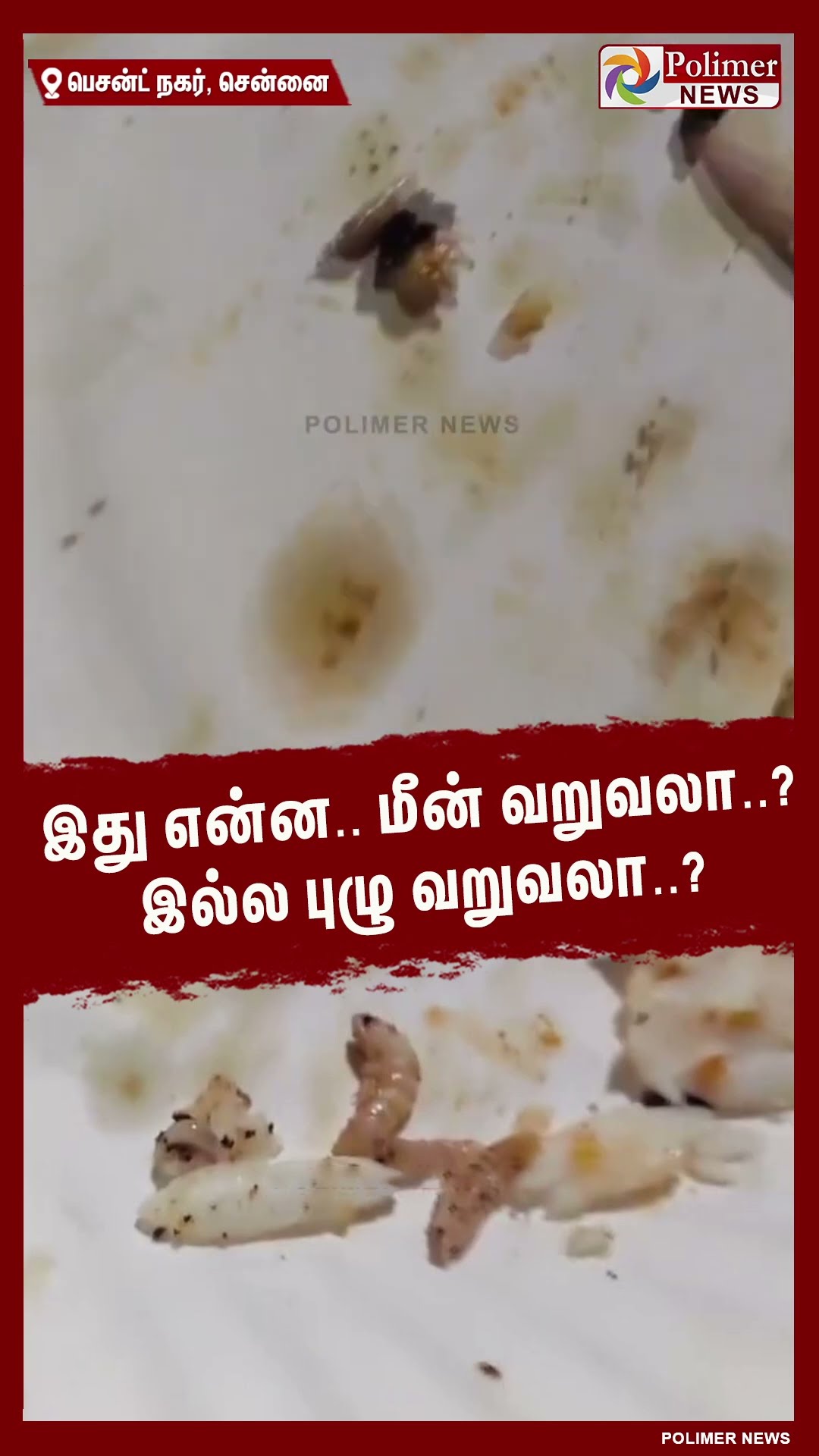இது என்ன.. மீன் வறுவலா..? இல்ல புழு வறுவலா..? #shorts | #fish | #besantnagar