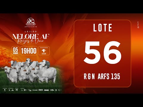LOTE 56