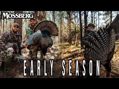 Traveling to Turkey Hunt Early Season