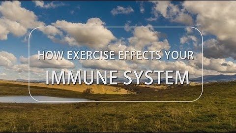How Exercise Effects Your Immune System