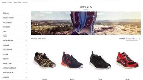 Acumatica Customer Success Story Shoebacca