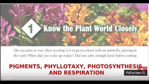 BASIC SCIENCE STD 5 | UNIT 1 | PIGMENTS. PHYLLOTAXY, PHOTOSYNTHESIS, RESPIRATION FIRST BELL SUPPORT