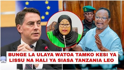 LIVE: BUNGE LA UMOJA WA ULAYA WAIJADILI SERIKALI YA TANZANIA KESI YA LISSU NA HAKI ZA BINADAMU